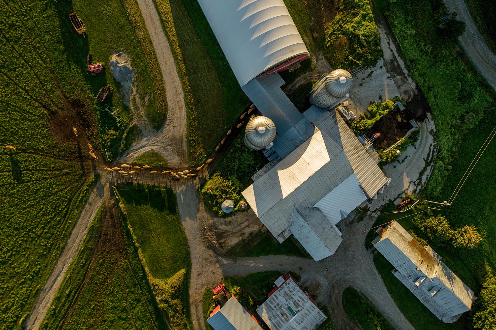 BN_StonyfieldFarms-0160
